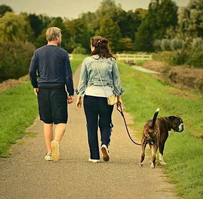 Couple promener un chien